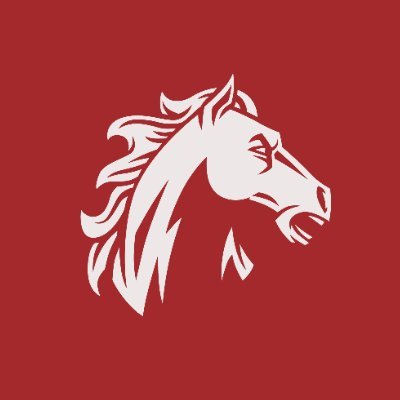 MCR2_Mustangs's profile picture. 