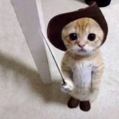 nananna51557's profile picture. tentando melhorar! #studytwt

(Jesus Salva)