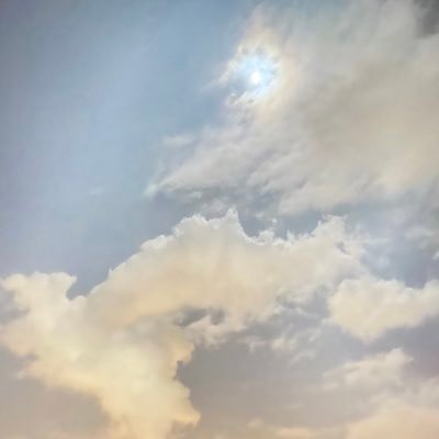 NSJ3yNmWidvlUJH's profile picture. 