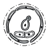 RUBL (@ubl_rna) 's Twitter Profile Photo RUBL (@ubl_rna) 's Twitter Profile Photo