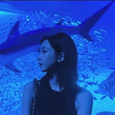 leiloveskari's profile picture. filo