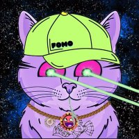 $Twaffle The Cat(@TwaffleTheCat_) 's Twitter Profile Photo