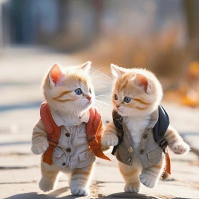 jazzmeannnnnn's profile picture. get a life 🌷