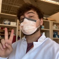 Friedrich Reusswig (@f_reusswig) 's Twitter Profile