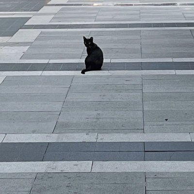 whitepaint7's profile picture. 