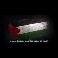 امينة SEO Specialist 🇵🇸 (@amina_saleem1) Twitter profile photo