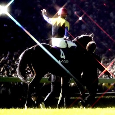 naoki0205deep's profile picture. ディープインパクト系を応援しています。宜しくお願いします。