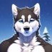 Andrew Williams the were husky king lover (@andreww63980492) Twitter profile photo Andrew Williams the were husky king lover (@andreww63980492) Twitter profile photo