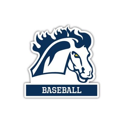 MMU_baseball Profile Picture