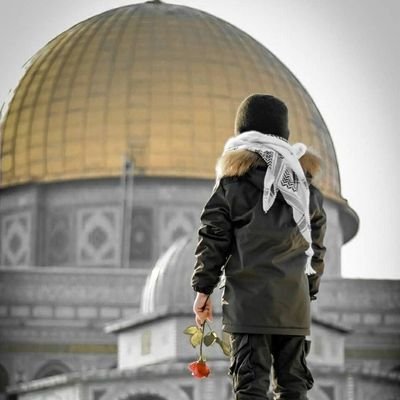 salalah_rmbk's profile picture. لا أبرحُ حتَّى أبلُغ 💡
(صلَّوا عليهﷺ)