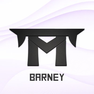 TTMBarney Profile Picture