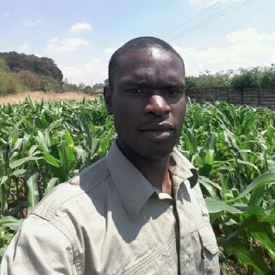 I am a testimony. Crop and Soil Scientist. CropLife Accredited. Agronomist and Digital Marketer at ZFC Limited. Minister of the Word and Fitness advocate