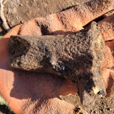 Exploring 8000 years of archaeology on the Black Isle