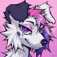 Zoey ➡️ FWA(@zoeydogy) 's Twitter Profile Photo