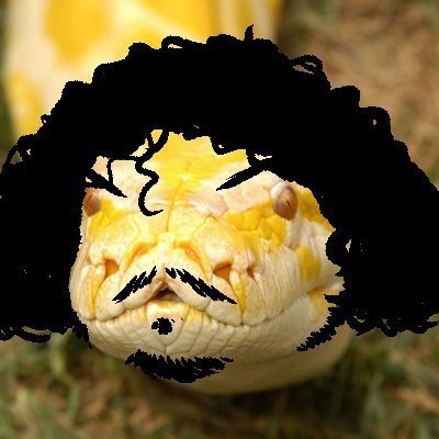 Snakedock (Serpent Reborn)さんのプロフィール画像