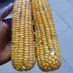 The Ilorin Farmer (@herbeedar) Twitter profile photo The Ilorin Farmer (@herbeedar) Twitter profile photo