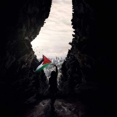 yomnashaban24's profile picture. 