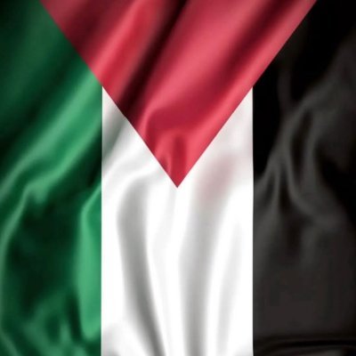htaoufikallah's profile picture. مطور إعلاميات، برمجة الويب