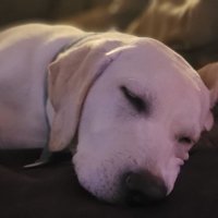 Kia Matthias (@kia_matthias) 's Twitter Profile