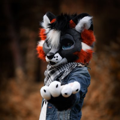 photographer! He/him 23 years Hobby's: Animals Photography Archery Wakeboarding Biking ❤️🔑 @LunariFox