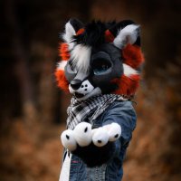 Jekyllfox (@jekyllfoxx) 's Twitter Profile Photo Jekyllfox (@jekyllfoxx) 's Twitter Profile Photo