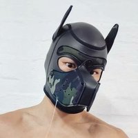 Arco 🦋 (@puparco) 's Twitter Profile