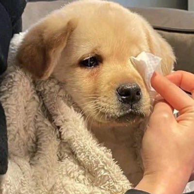 Happy_Lun_ch's profile picture. 써클 돌려줘