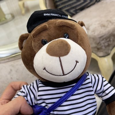 common_rooster's profile picture. 胆小又贪婪