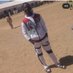 imam Abdullah (@iyoungpele) Twitter profile photo imam Abdullah (@iyoungpele) Twitter profile photo