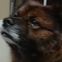 OHJA (@tom22079231) Twitter profile photo