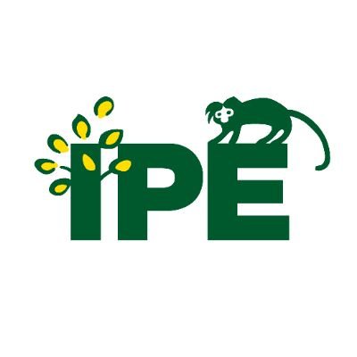 InstitutoIPE Profile Picture