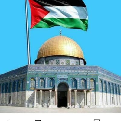 Free Palestine,Inchallah soon