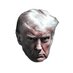 Trump Mugshot Merchandise (@MagaMugshot) Twitter profile photo