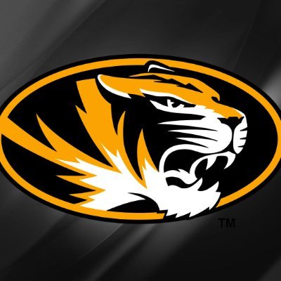 MizzouRadRes Profile Picture