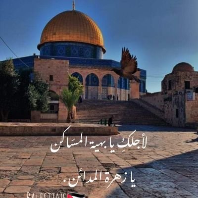 Free for Palestine🇵🇸❤

Sea🌊, Rain🌧, Clouds🌫, Music🎵,Tea☕,Books📚 & Flowers🌼 .

I'm an engineer👩‍🔧✨