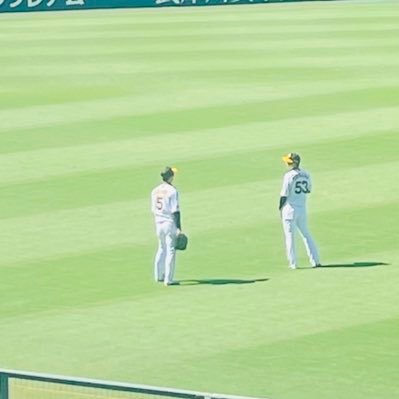 関西住みの阪神ファンです🐯 今期→2勝1敗0分 Next→4/28（日）