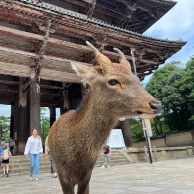 こんなとこ見ても意味ないよ