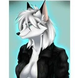 Furry innocent - Femboy - SFW/NSFW - ready to make people happy with my creativity LGBT 🏳️🌈
