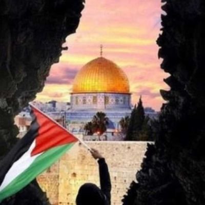 AsmaaHa31345730's profile picture. Muslima | free Palestine