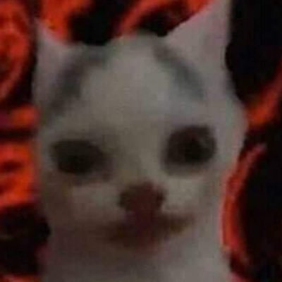 noxtorium's profile picture. I love women