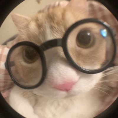 noRiephineprine's profile picture. its the me, for me 🫠