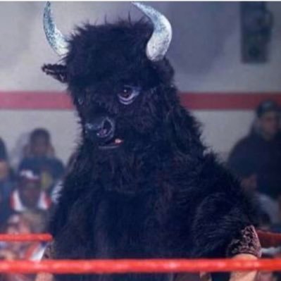 DalimonteP15632's profile picture. 