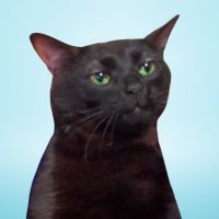 Mike Winters (@mike_wintrs) 's Twitter Profile