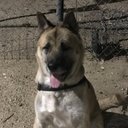 Steve Serrano - @stevie1167 - Twitter