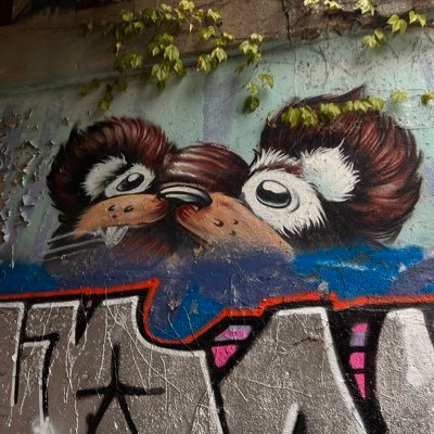 benji_1130's profile picture. Live, laugh, and palm trees 🌴🍃