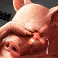 La Mentira se Acabó (@labanda912) 's Twitter Profile Photo La Mentira se Acabó (@labanda912) 's Twitter Profile Photo