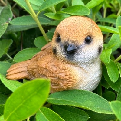 FfAdsshFjmbmXnk's profile picture. ゴスペル。讃美歌。クリスチャン✝️
愛がすべて。