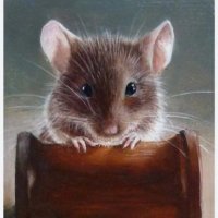 myš 🐭 Jingles(@jinglesthemouse) 's Twitter Profile Photo