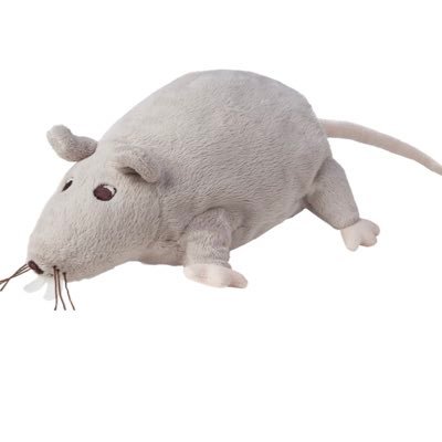 gigipor_'s profile picture. notes