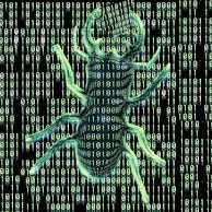 Bug (@bug_virus_) 's Twitter Profile